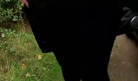 اینگا با جوانان طبیعی در بازیگران پورنو دانلود فیلم سکسی از کانال تلگرام می خورد