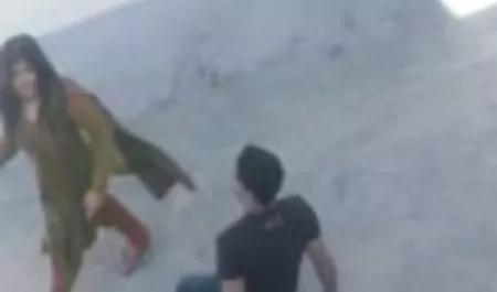 شاخه های جوان شکل ادرس کانال فیلم سوپرتلگرام های عالی خود را نشان می دهند